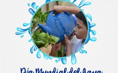 Día mundial del agua
